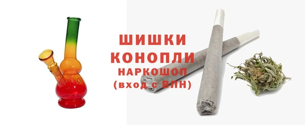 прущие грибы Алзамай