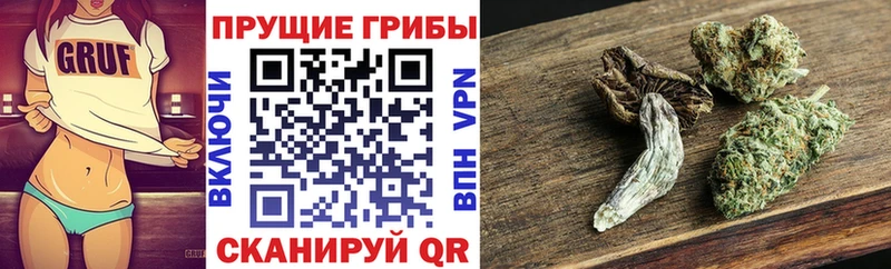 магазин Евпатория hydra ссылки Галлюциногенные грибы прущие грибы
